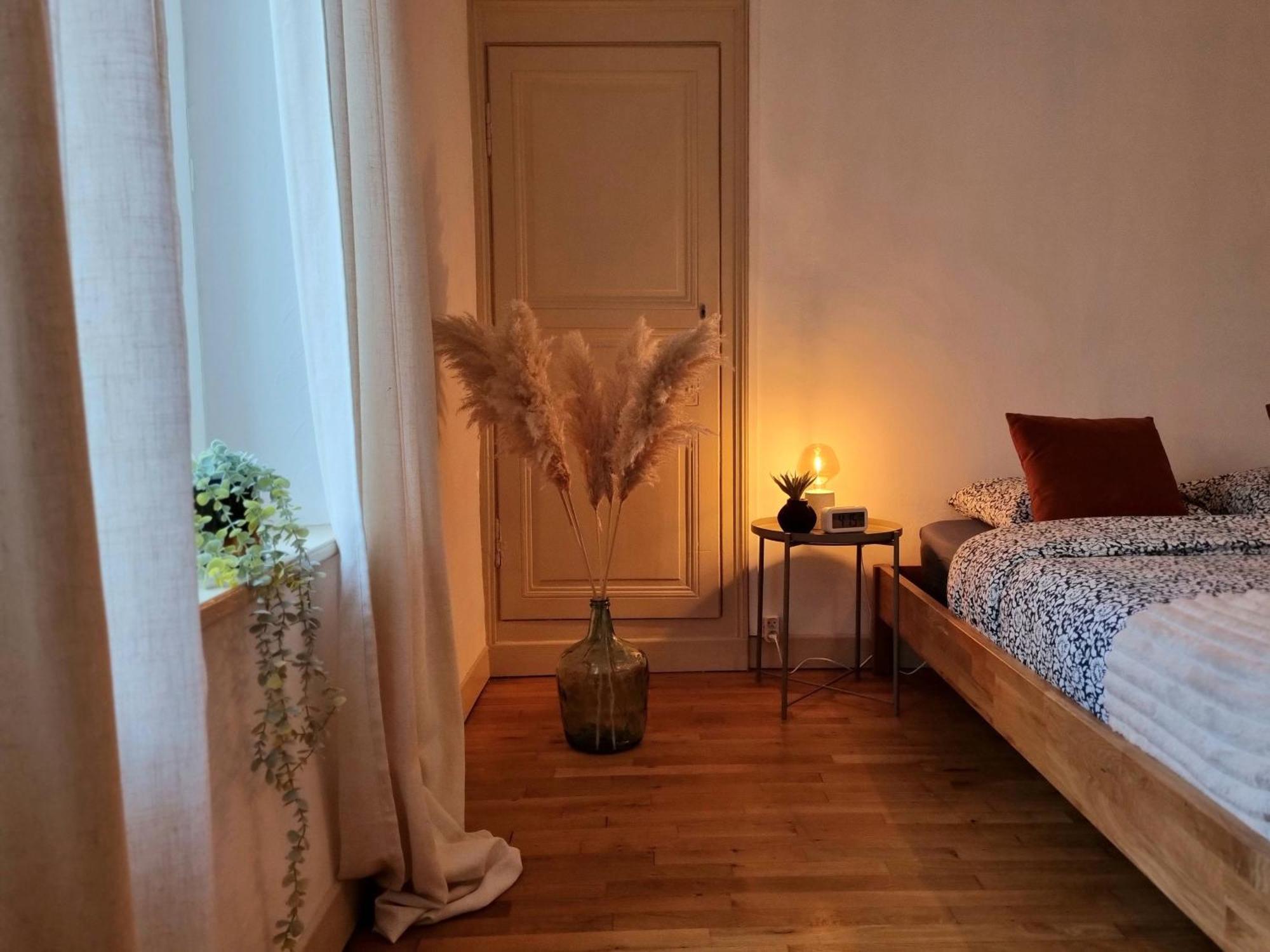 La Jeannette - Proche Gare-Centre, 2 Lits, Terrasse Villa Châteauroux Екстериор снимка